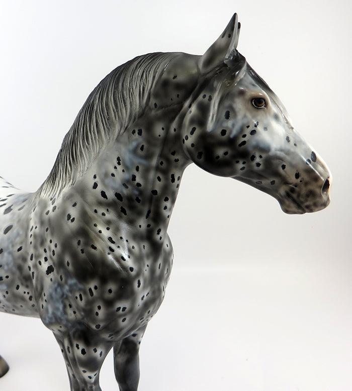 TEBOW-OOAK LOUD APPALOOSA STANDING DRAFTER BY DAWN QUICK 2/5/17