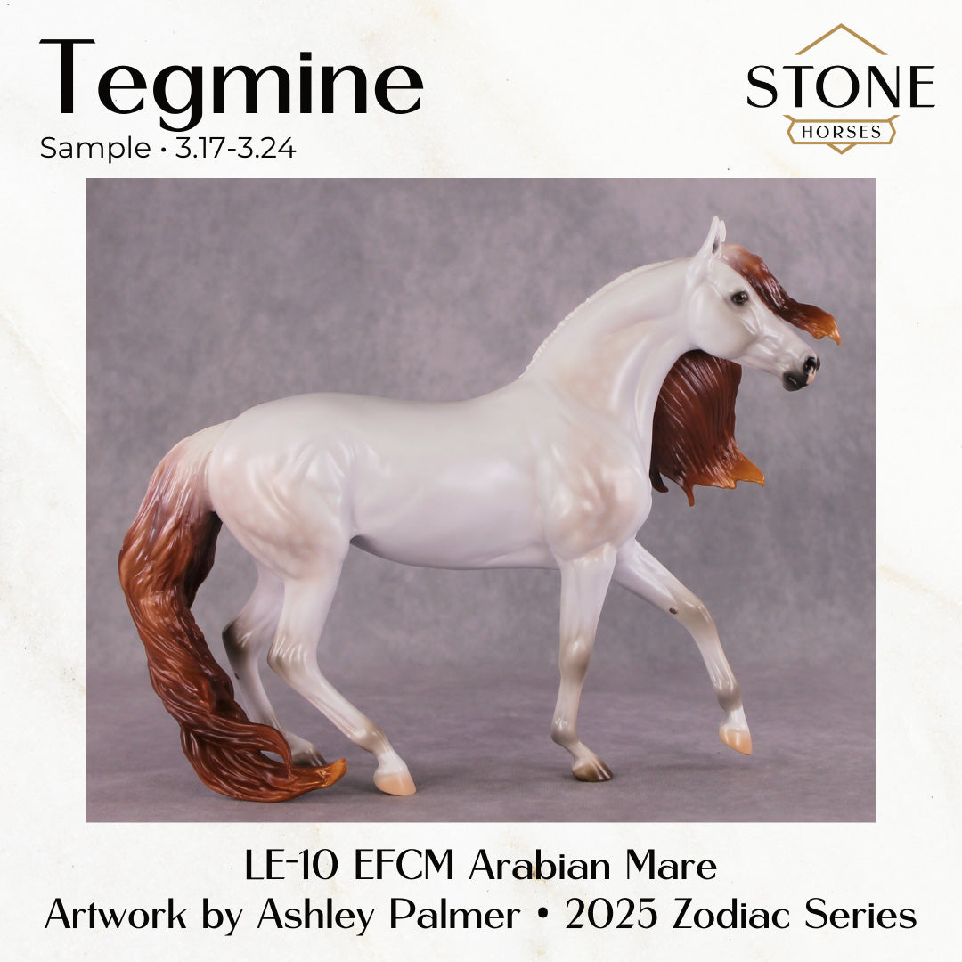SAMPLE Tegmine LE-10 EFCM Arabian Mare by Ashley Palmer SS0326