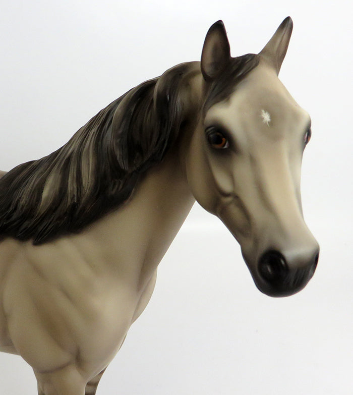 TERRELL-OOAK DUN ISH MODEL HORSE BY SHERYL LEISURE 2/5/17