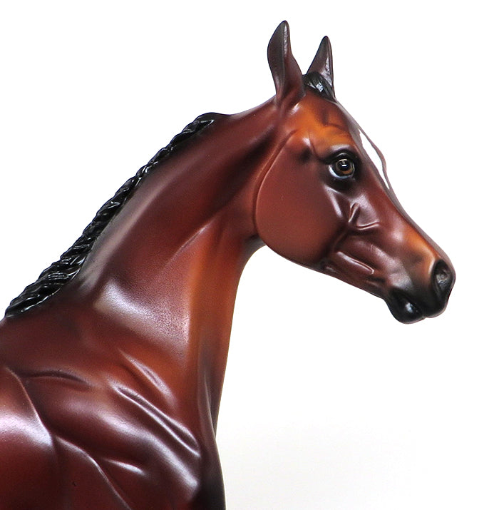 BAY APPALOOSA YEARLING