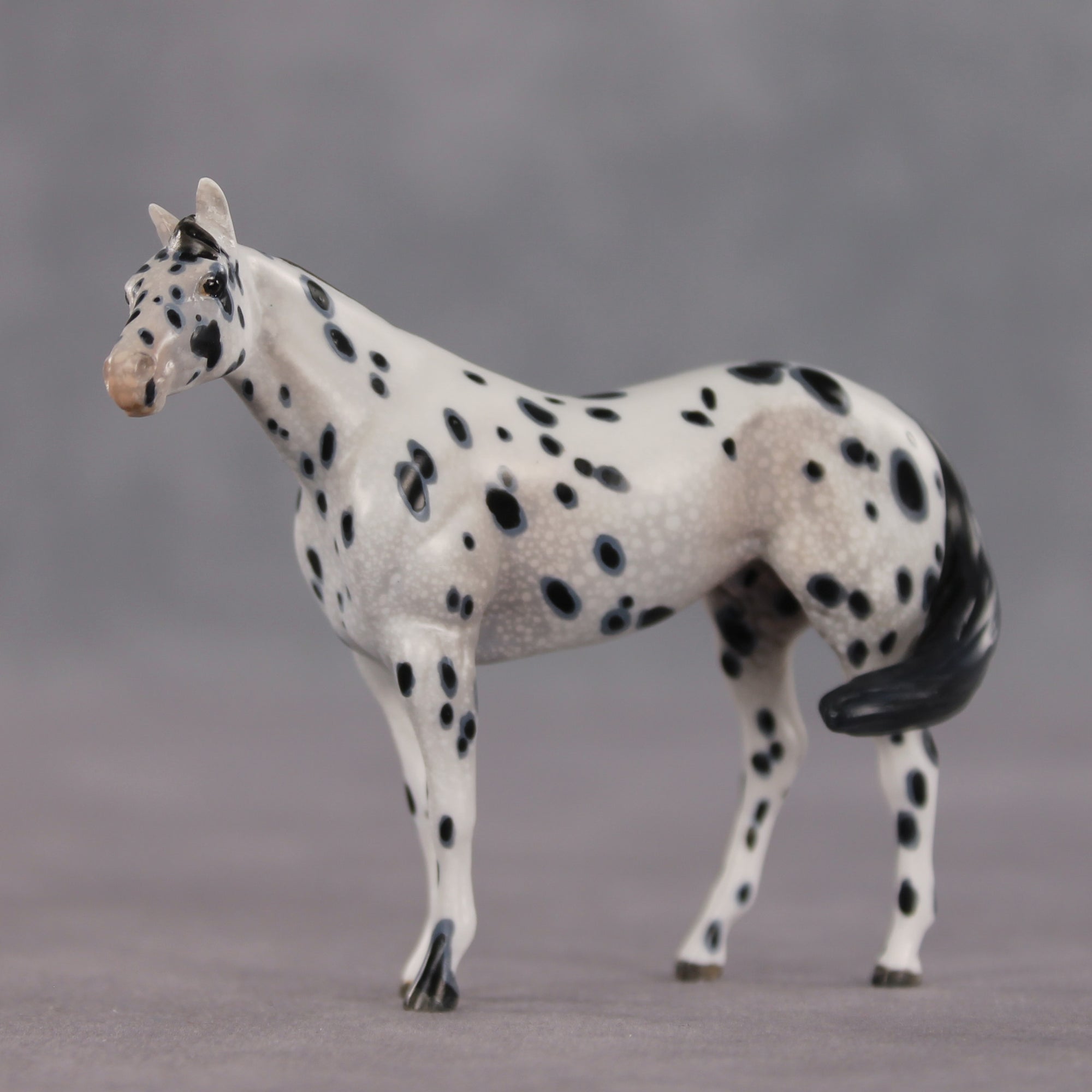 The Gentleman Pirate OOAK FCM Chip Stock Horse by Kristen Cermele EQ26