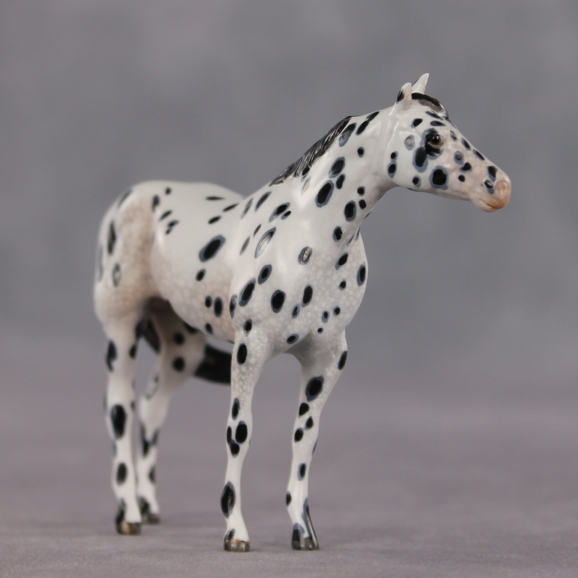The Gentleman Pirate OOAK FCM Chip Stock Horse by Kristen Cermele EQ26