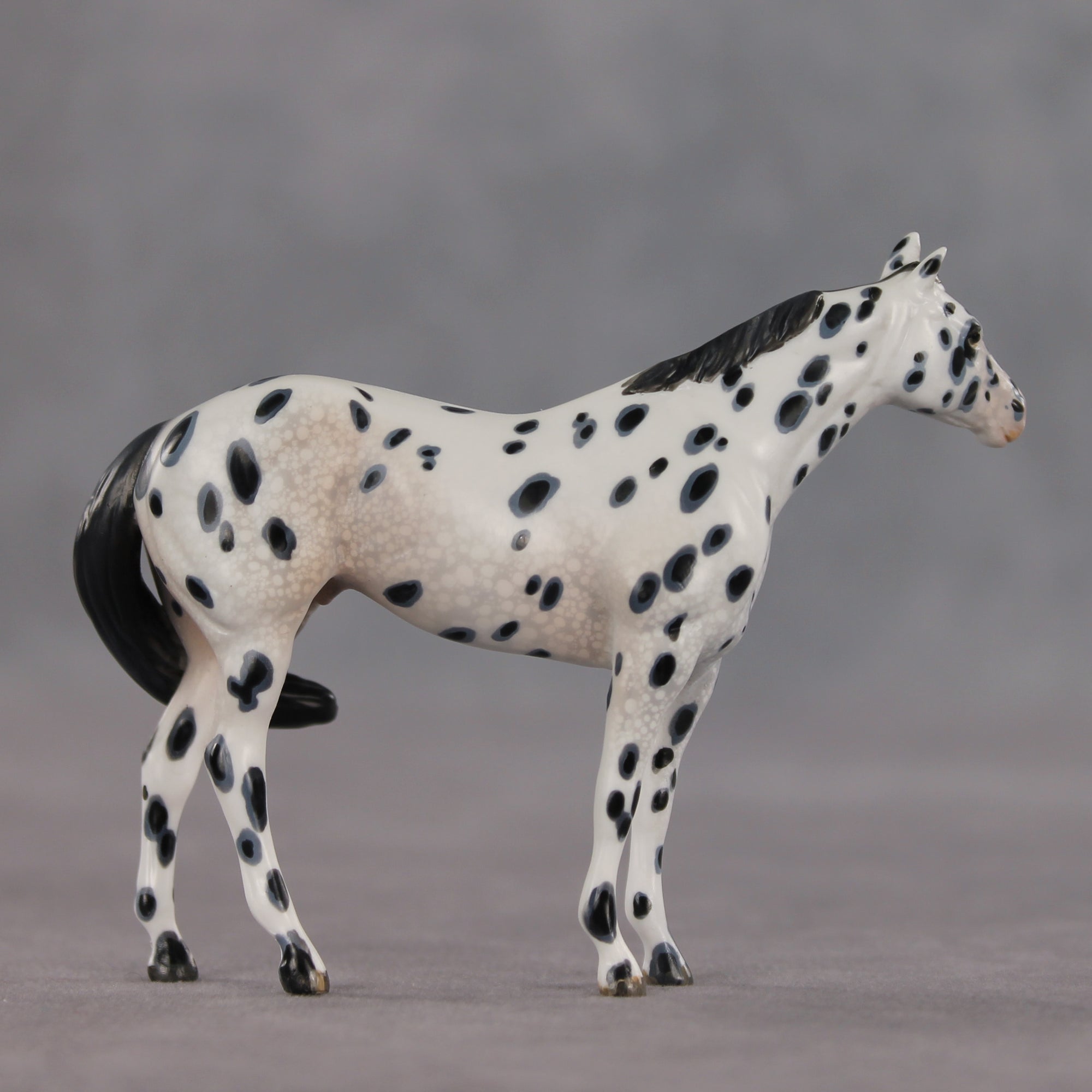 The Gentleman Pirate OOAK FCM Chip Stock Horse by Kristen Cermele EQ26