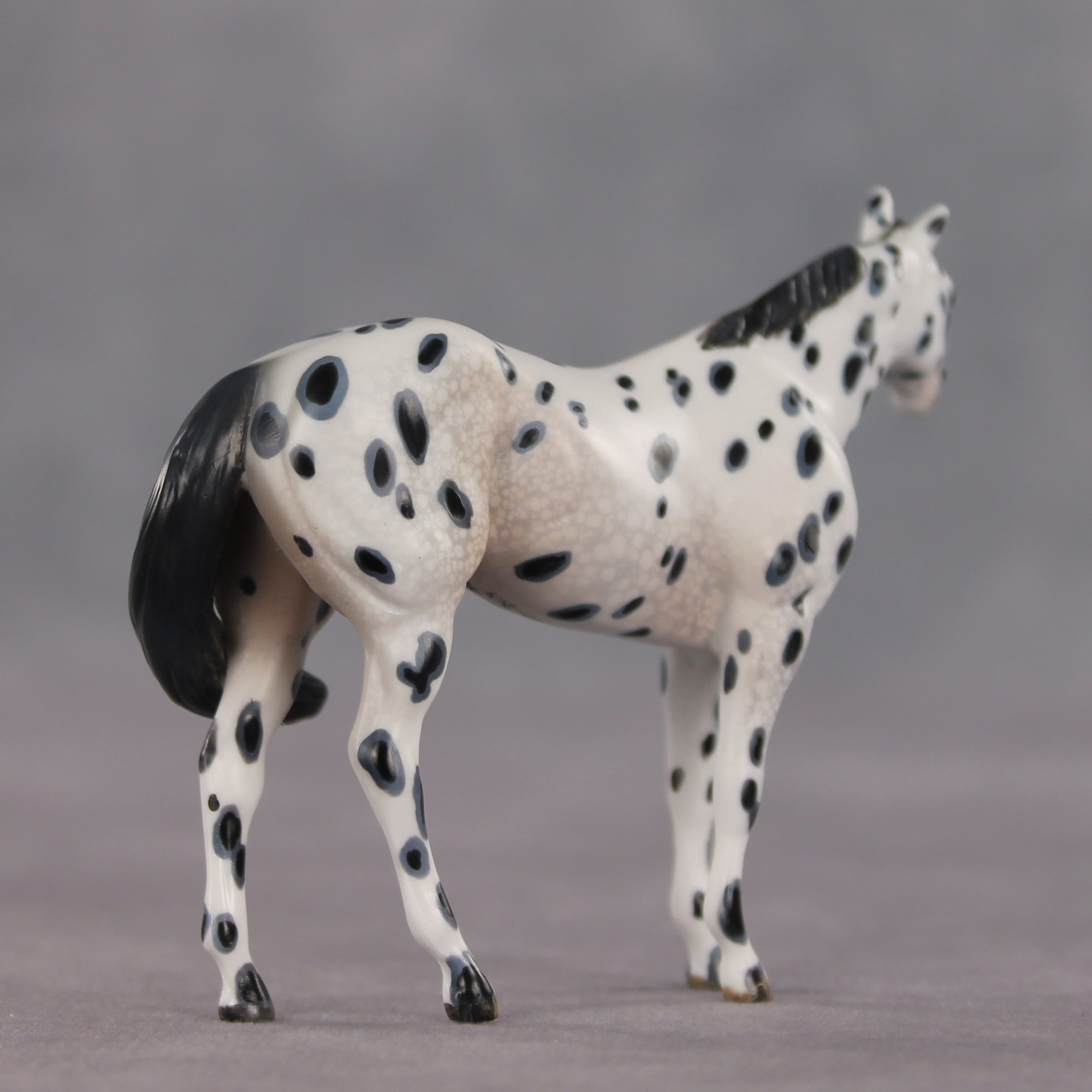 The Gentleman Pirate OOAK FCM Chip Stock Horse by Kristen Cermele EQ26