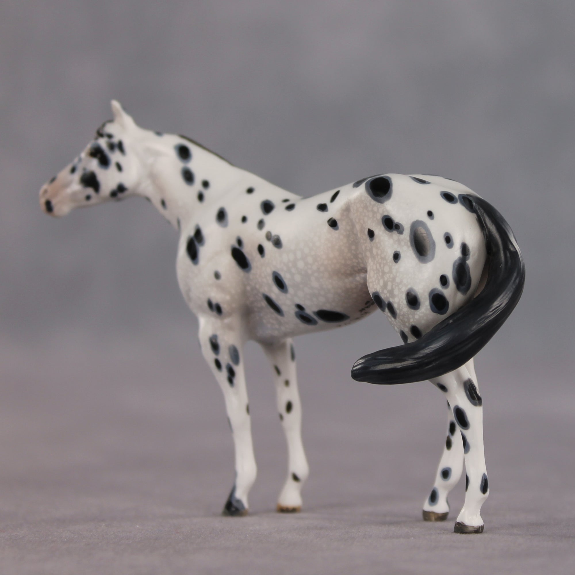 The Gentleman Pirate OOAK FCM Chip Stock Horse by Kristen Cermele EQ26