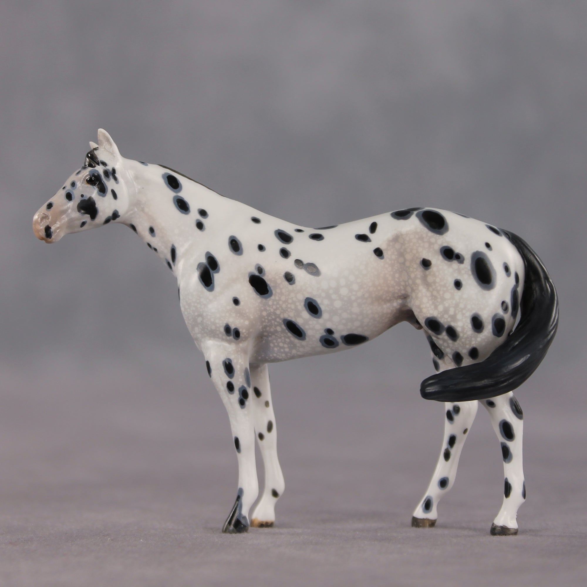 The Gentleman Pirate OOAK FCM Chip Stock Horse by Kristen Cermele EQ26