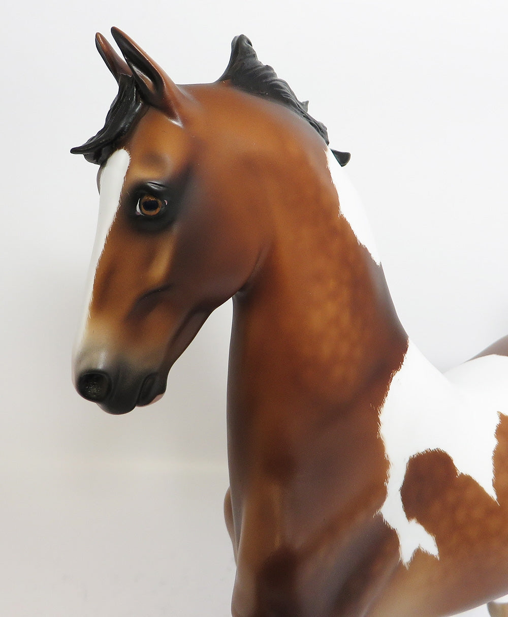 TIDLY WINKS-OOAK BAY TOBIANO SADDLEBRED BY SHERY LEISURE WHS 17