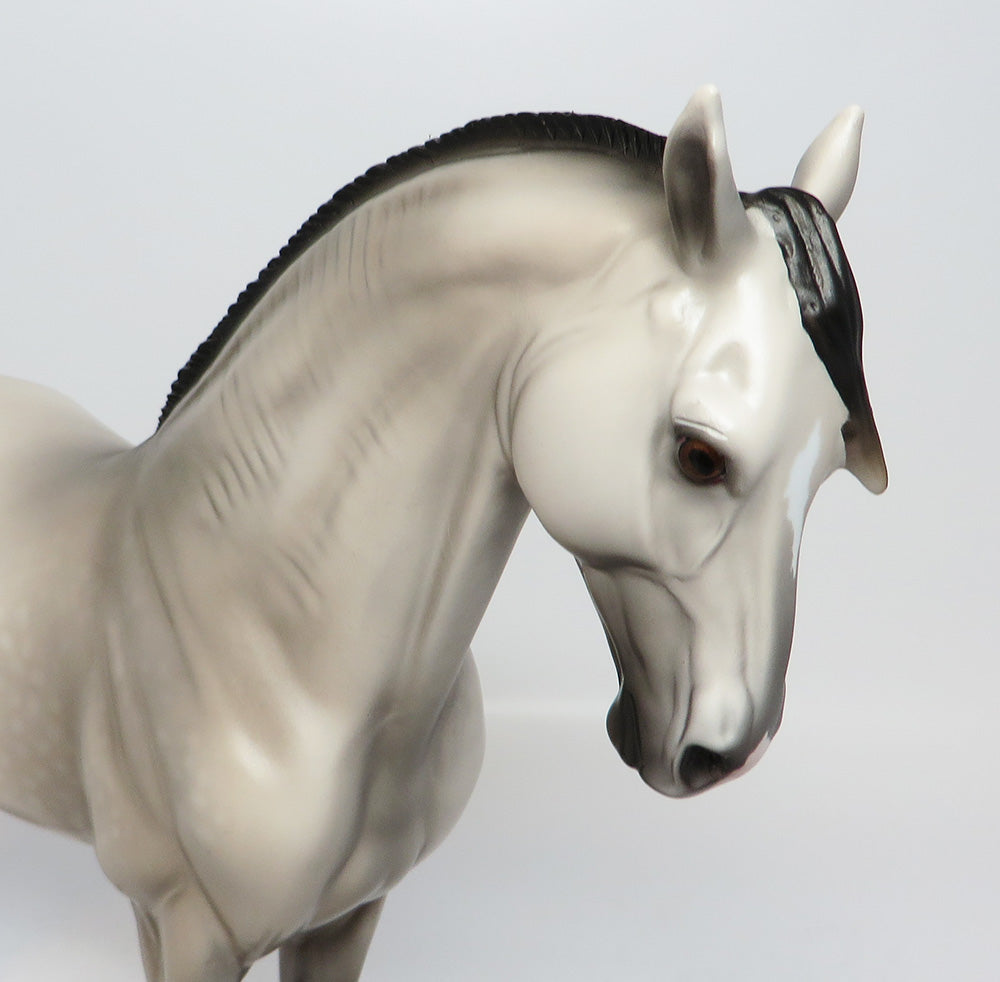 TIME SQUARE LE-4 DAPPLE GREY ROACHED MANE ANDALUSIAN EQ 2017