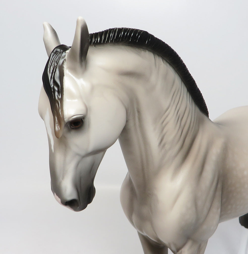 TIME SQUARE LE-4 DAPPLE GREY ROACHED MANE ANDALUSIAN EQ 2017