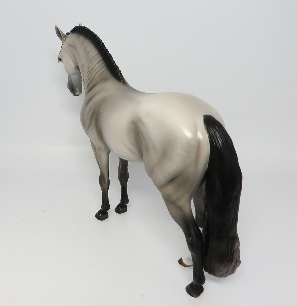 TIME SQUARE LE-4 DAPPLE GREY ROACHED MANE ANDALUSIAN EQ 2017