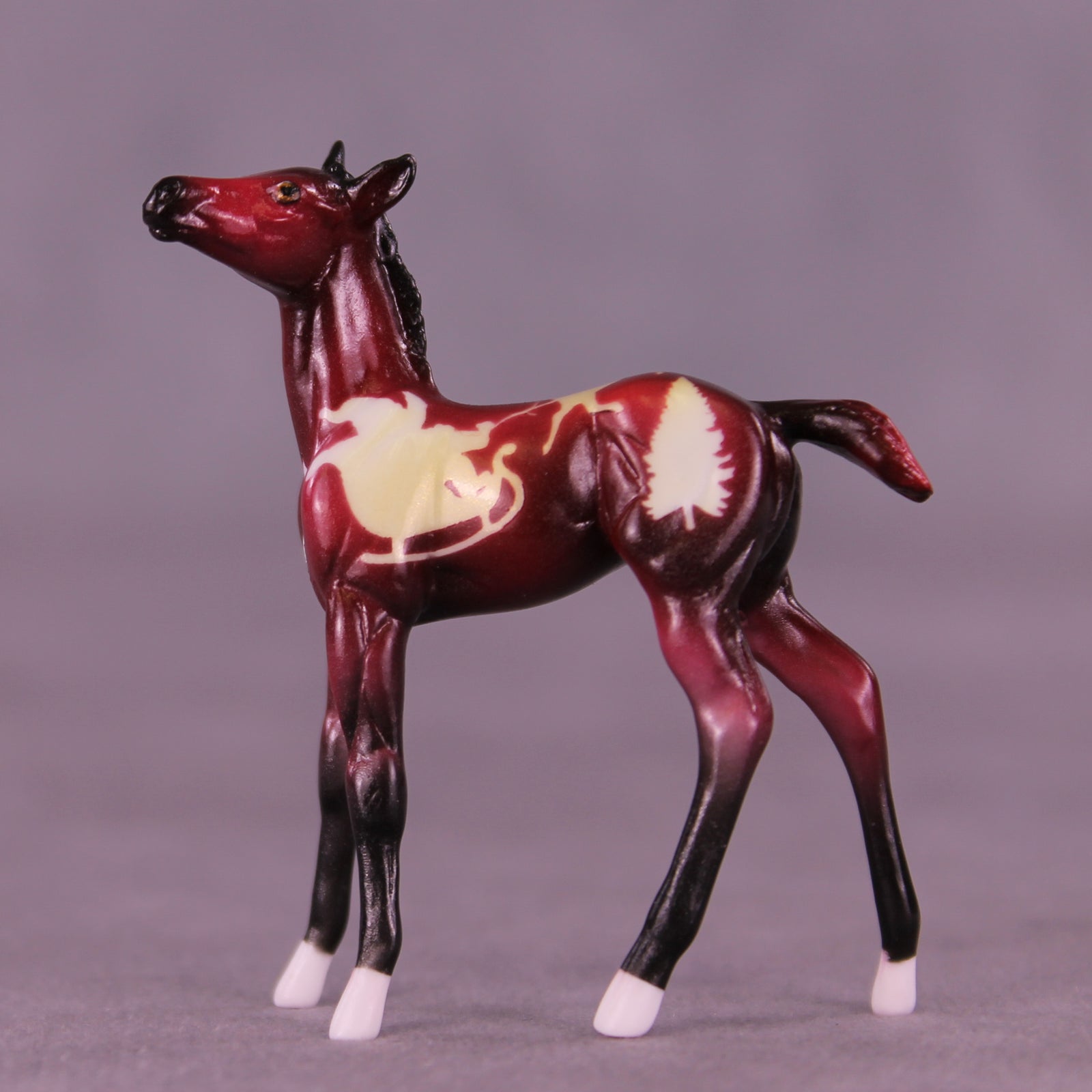 Tinsel Nibble OOAK Chip Foal by Enrique Duarte HS25