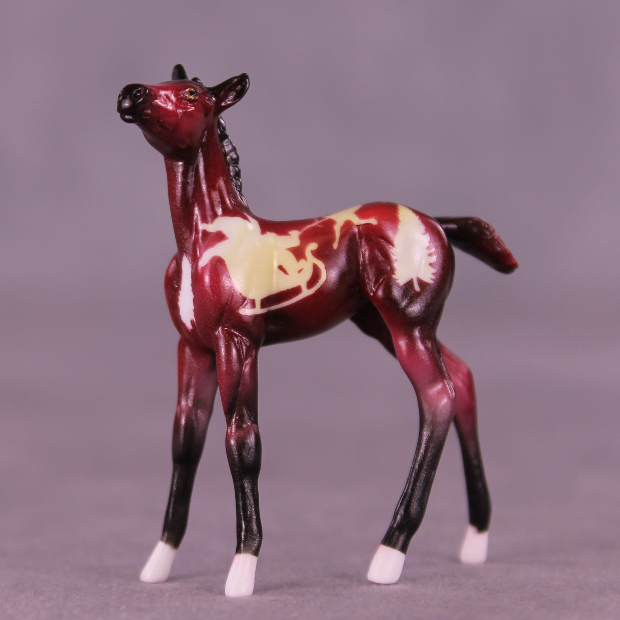 Tinsel Nibble OOAK Chip Foal by Enrique Duarte HS25