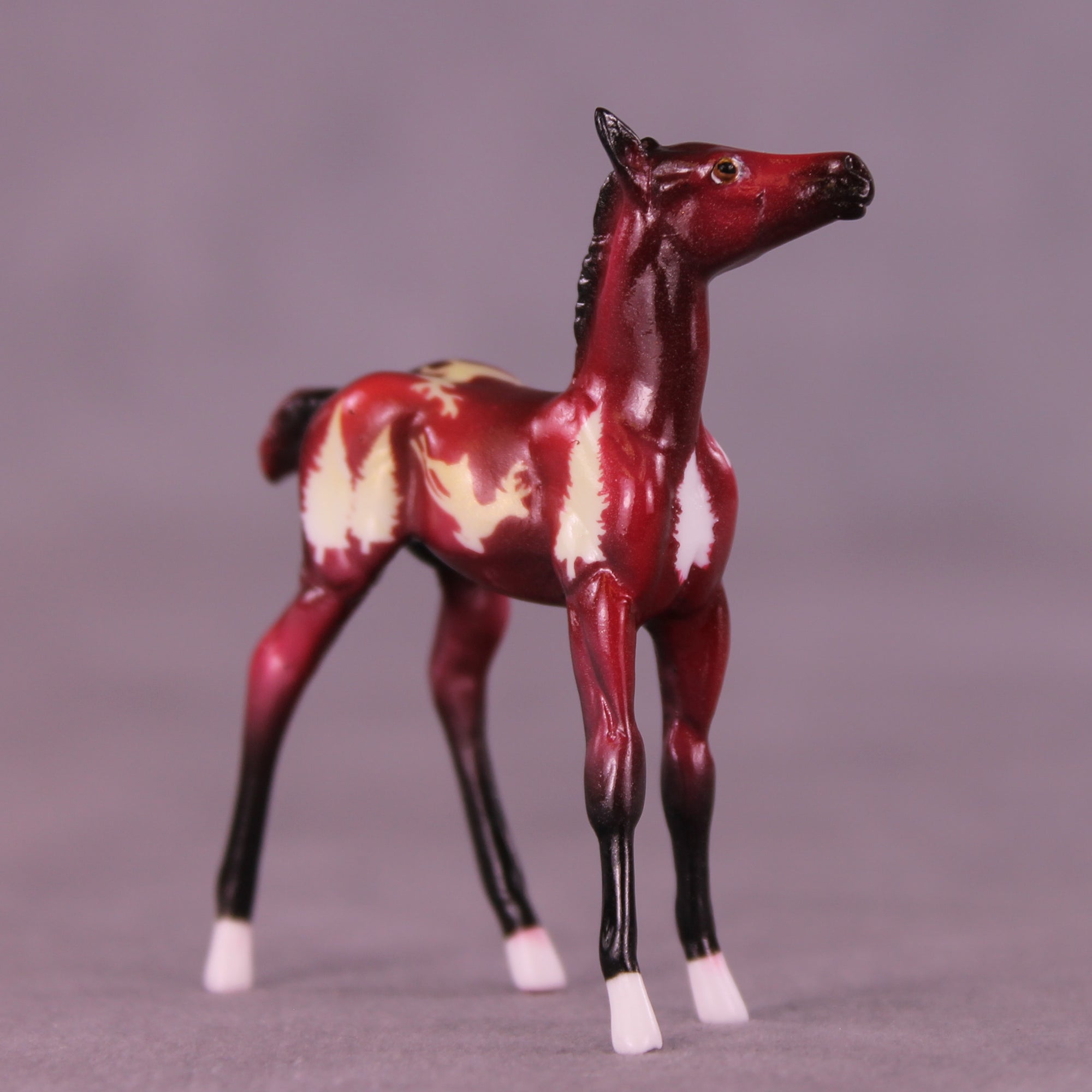 Tinsel Nibble OOAK Chip Foal by Enrique Duarte HS25