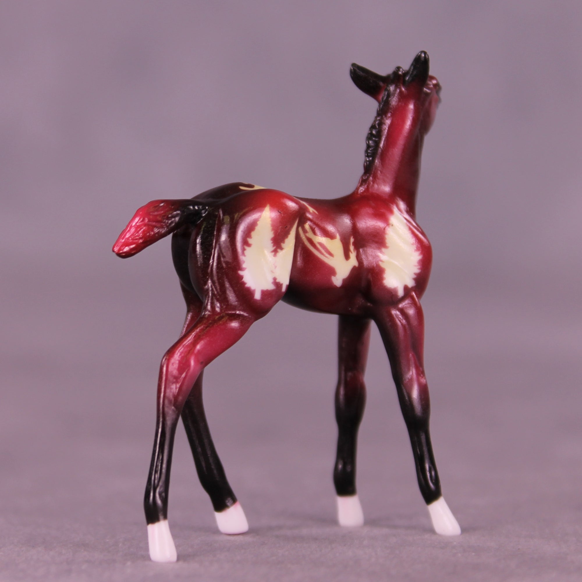 Tinsel Nibble OOAK Chip Foal by Enrique Duarte HS25