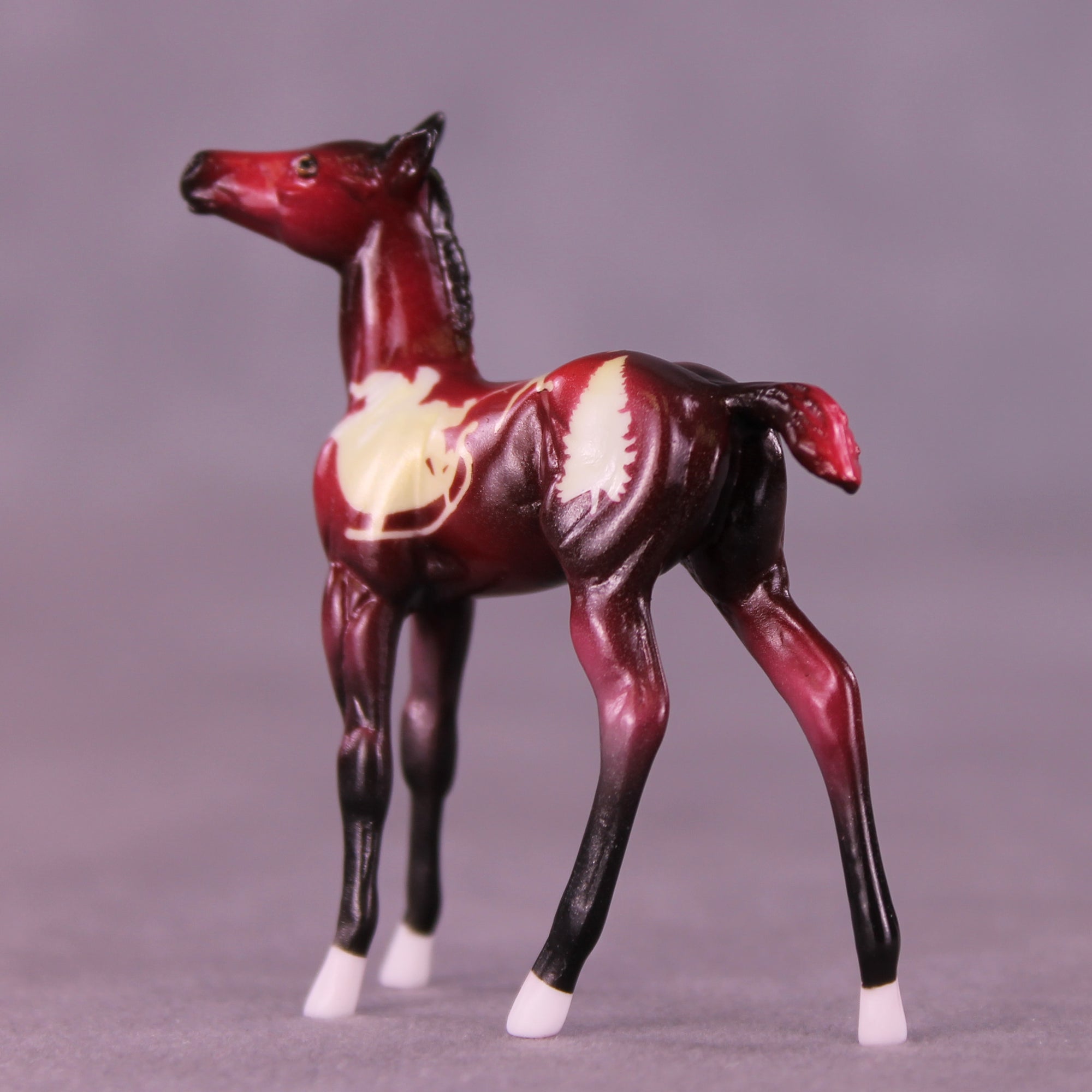 Tinsel Nibble OOAK Chip Foal by Enrique Duarte HS25