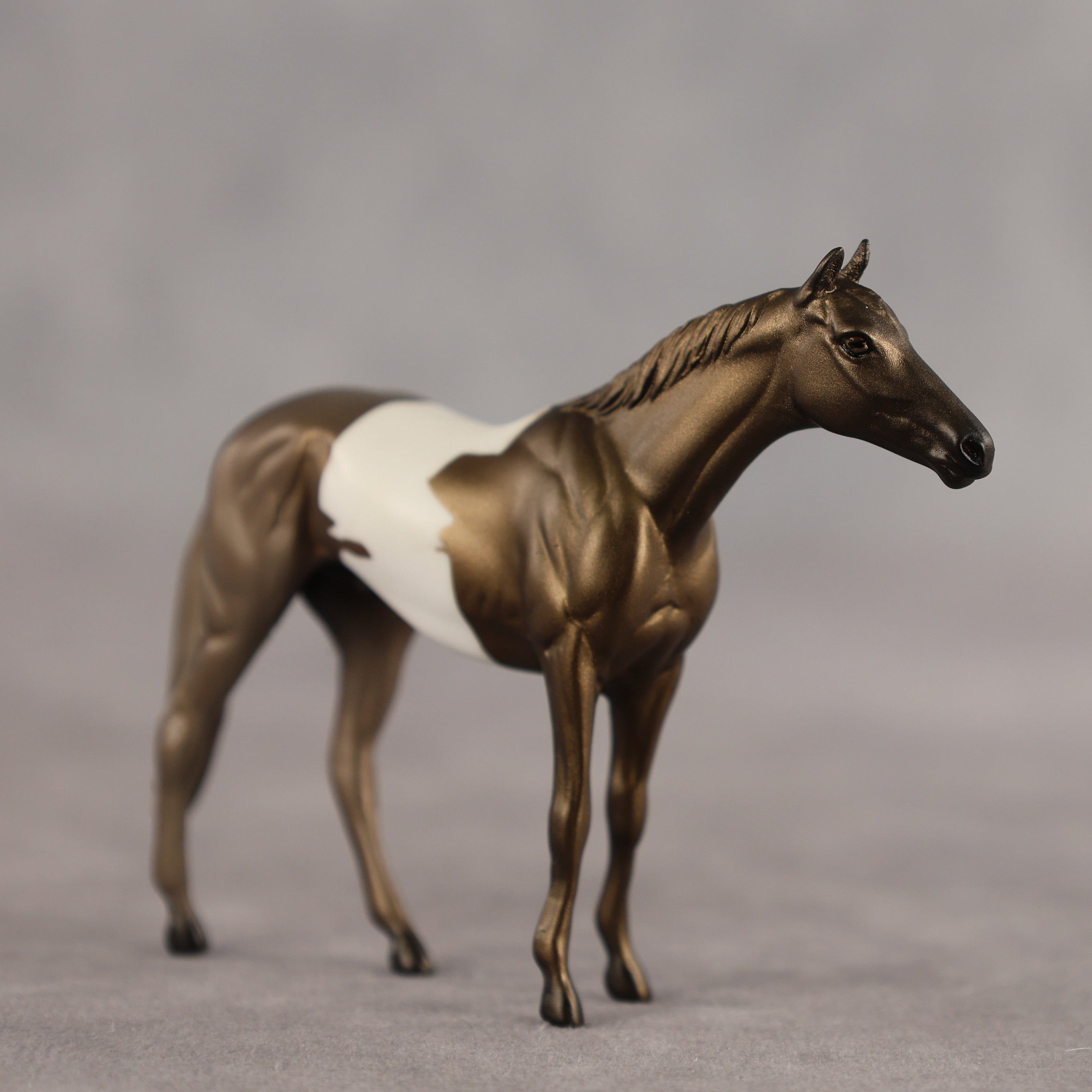 Tiramisu OOAK Chip Thoroughbred by Alex Fortman SCD26
