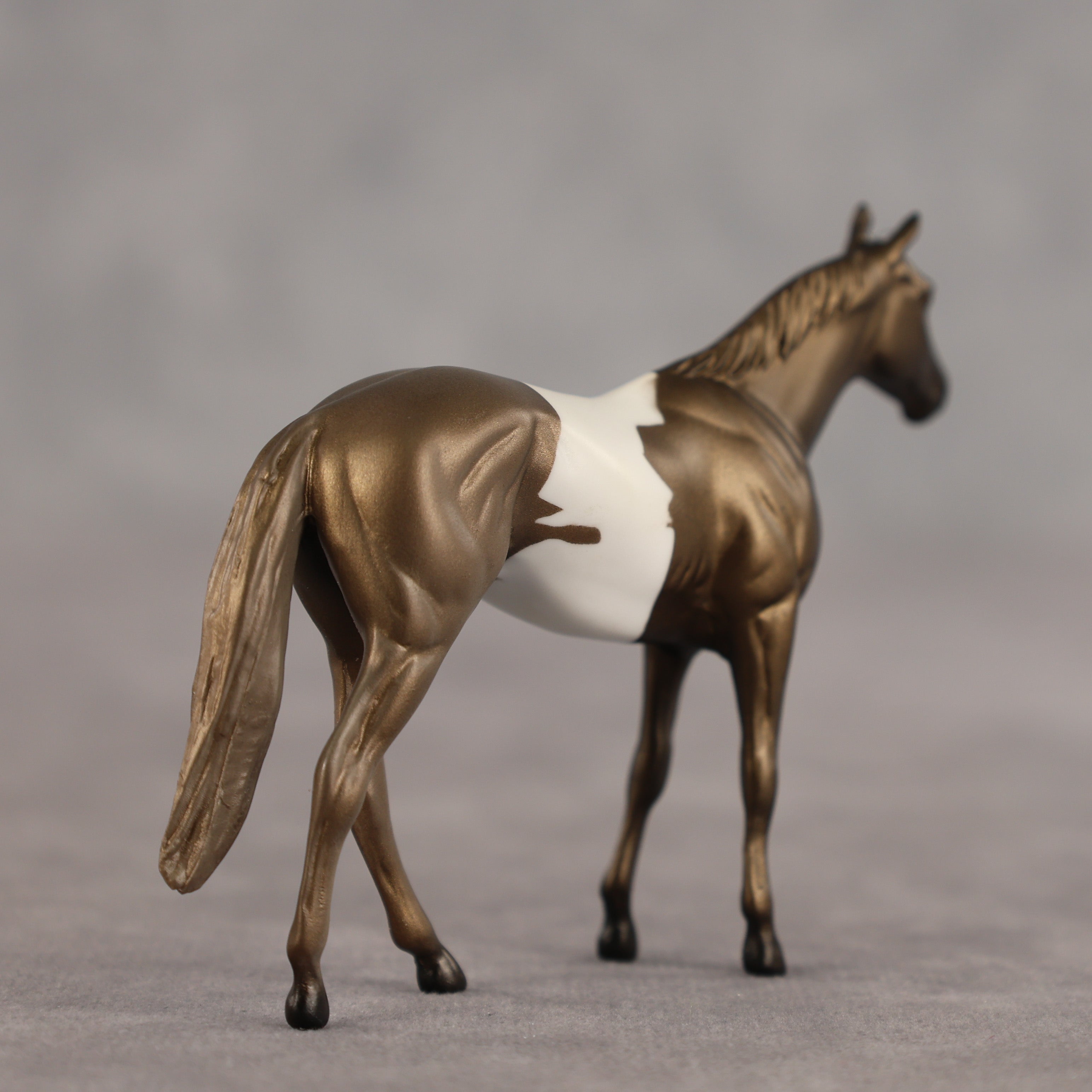 Tiramisu OOAK Chip Thoroughbred by Alex Fortman SCD26