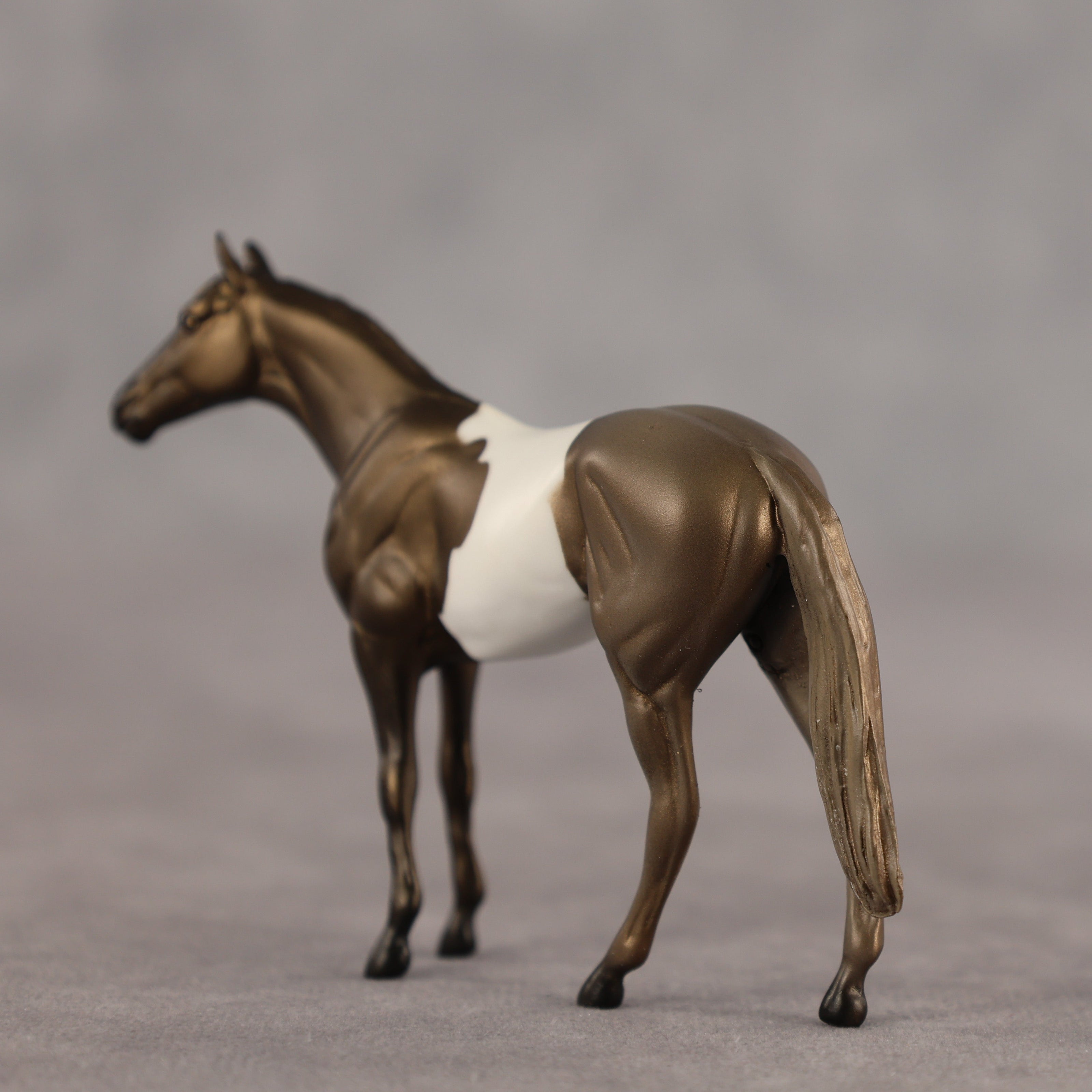 Tiramisu OOAK Chip Thoroughbred by Alex Fortman SCD26