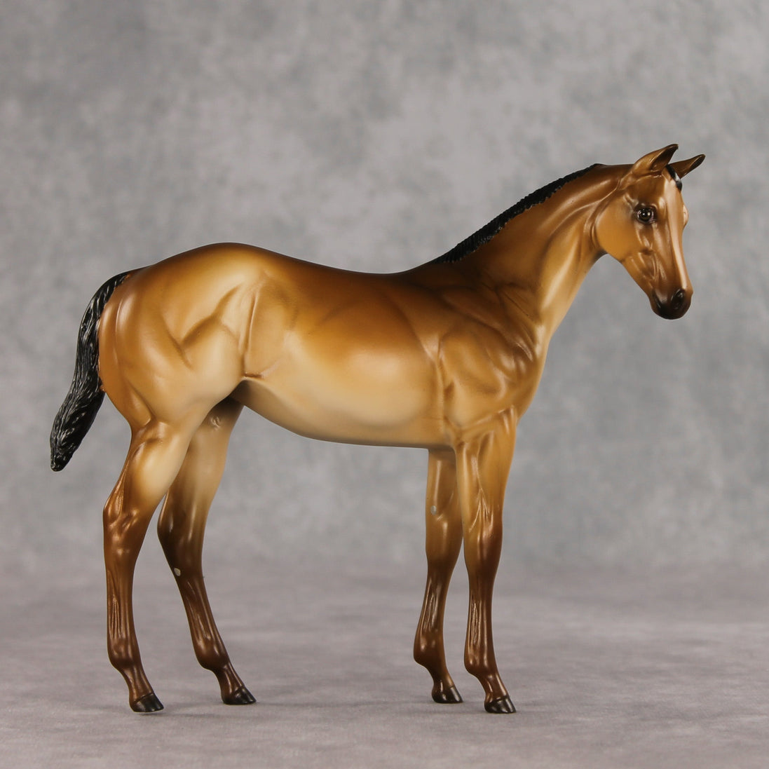 Toasty OOAK Stock Horse Weanling by Erin Corbett VV26