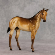 Toasty OOAK Stock Horse Weanling by Erin Corbett VV26