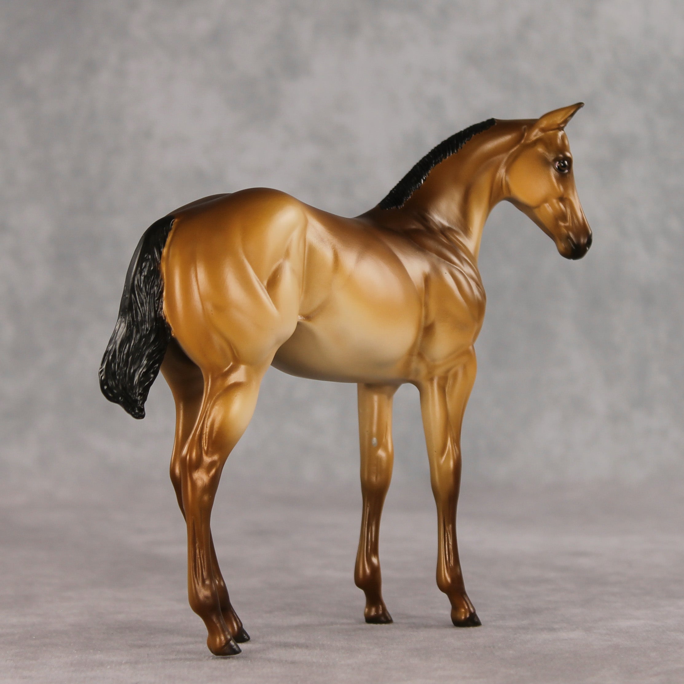 Toasty OOAK Stock Horse Weanling by Erin Corbett VV26