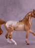 Toasty Warm OOAK Arabian Mare by Erin Corbett HS25
