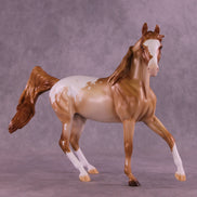 Toasty Warm OOAK Arabian Mare by Erin Corbett HS25