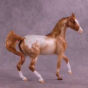 Toasty Warm OOAK Arabian Mare by Erin Corbett HS25