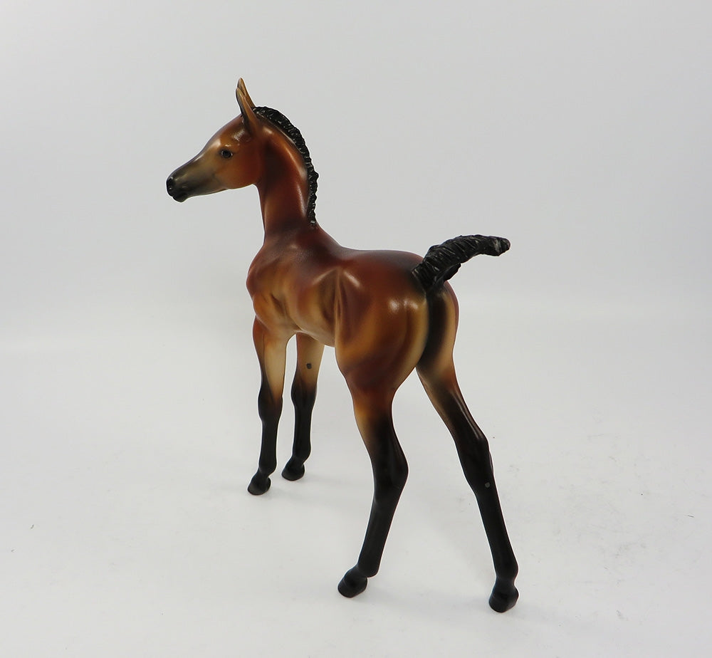 TOBASCO-OOAK BAY ARABIAN FOAL EQ 2017