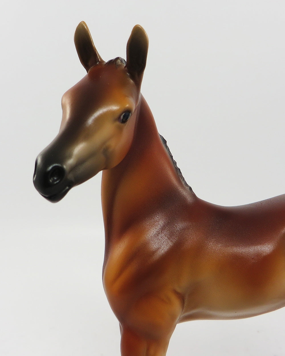 TOBASCO-OOAK BAY ARABIAN FOAL EQ 2017