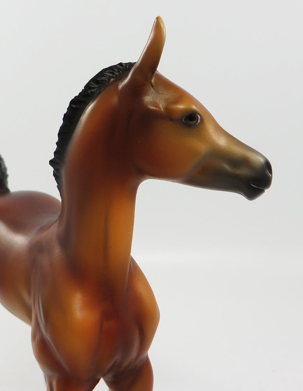 TOBASCO-OOAK BAY ARABIAN FOAL EQ 2017