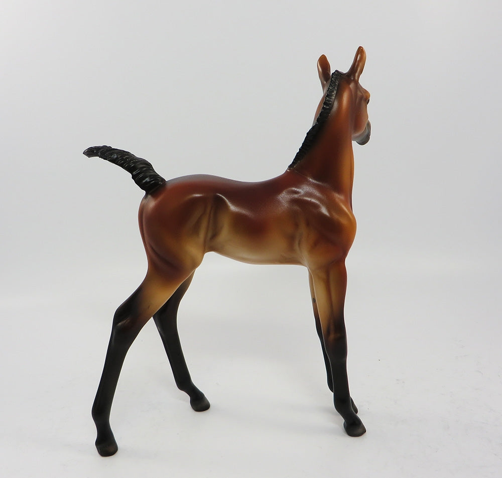 TOBASCO-OOAK BAY ARABIAN FOAL EQ 2017