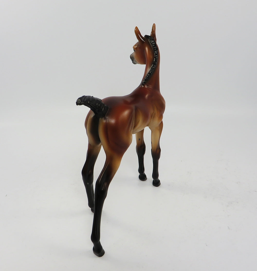 TOBASCO-OOAK BAY ARABIAN FOAL EQ 2017