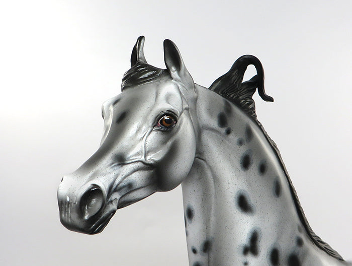 Appaloosa