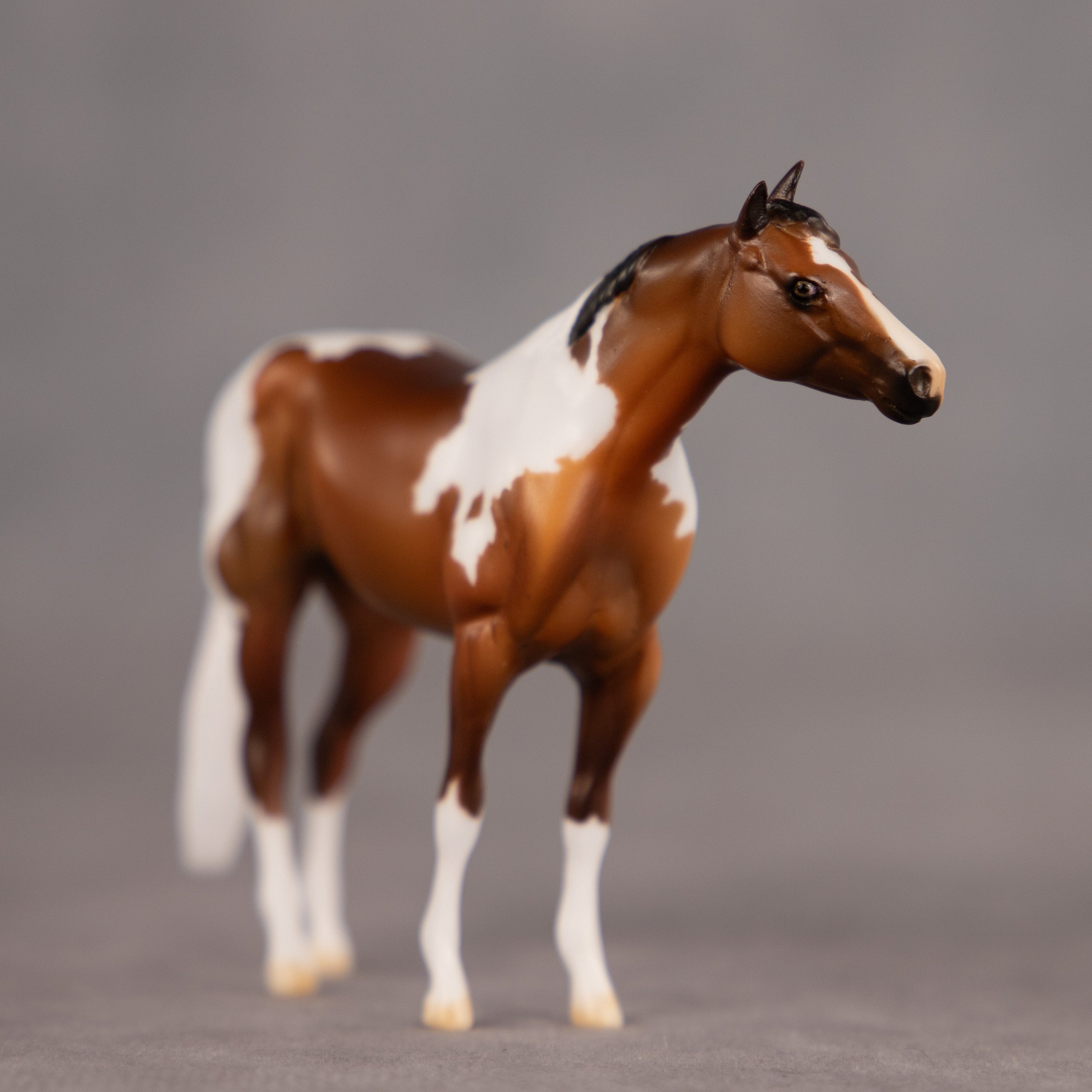 Toffee Crunch OOAK Chip Stock Horse by Dawn Quick EQ26
