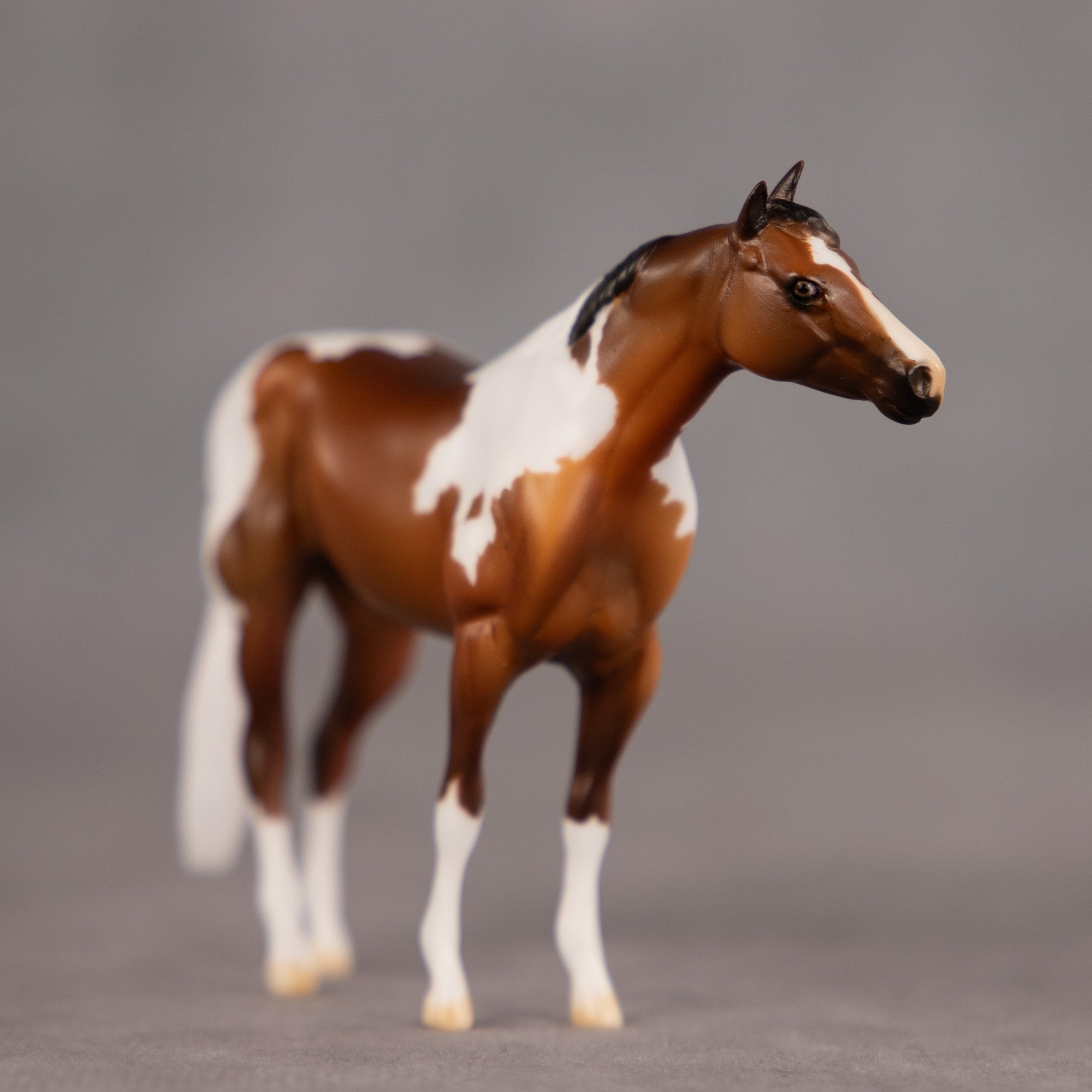 Toffee Crunch OOAK Chip Stock Horse by Dawn Quick EQ26