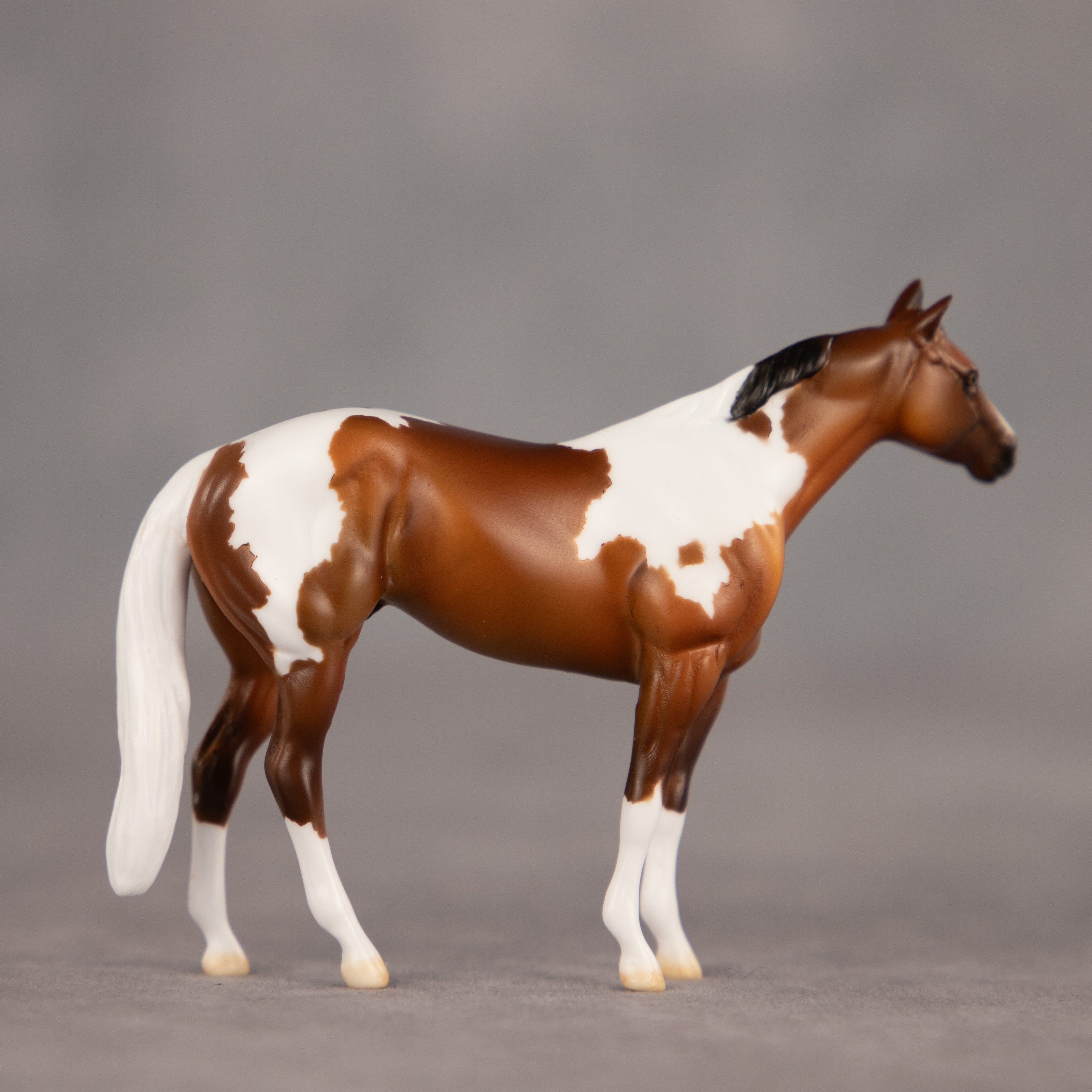 Toffee Crunch OOAK Chip Stock Horse by Dawn Quick EQ26