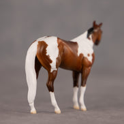 Toffee Crunch OOAK Chip Stock Horse by Dawn Quick EQ26
