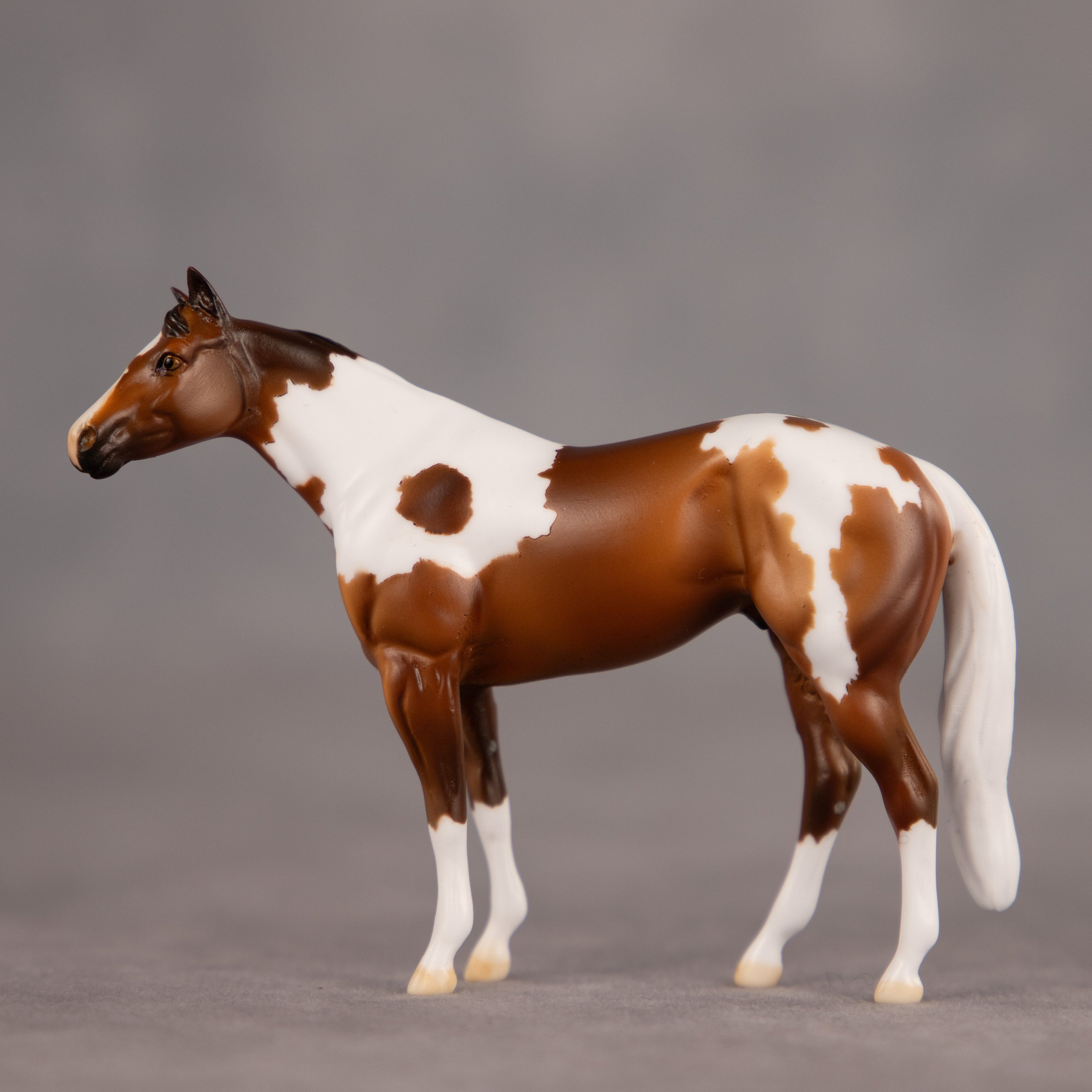 Toffee Crunch OOAK Chip Stock Horse by Dawn Quick EQ26
