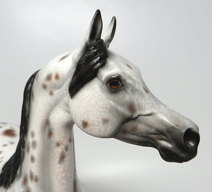 TOLKIEN-OOAK APPALOOSA ARABIAN MODEL HORSE 8/4