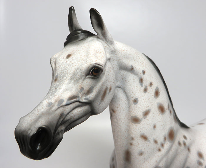 TOLKIEN-OOAK APPALOOSA ARABIAN MODEL HORSE 8/4