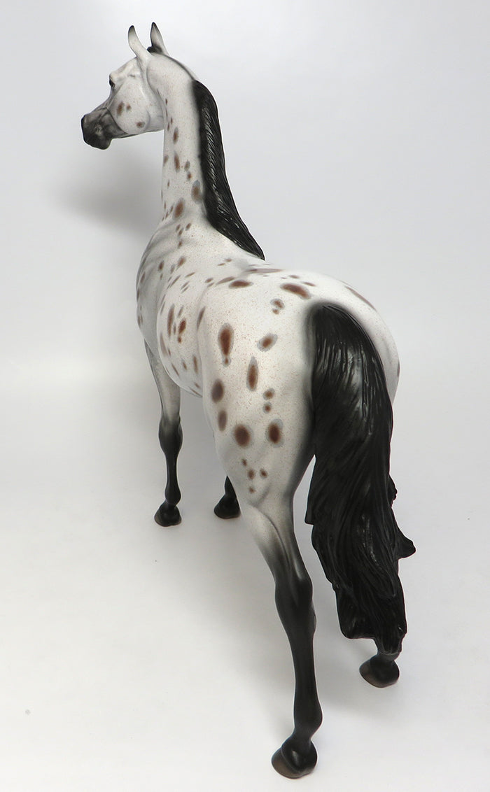TOLKIEN-OOAK APPALOOSA ARABIAN MODEL HORSE 8/4
