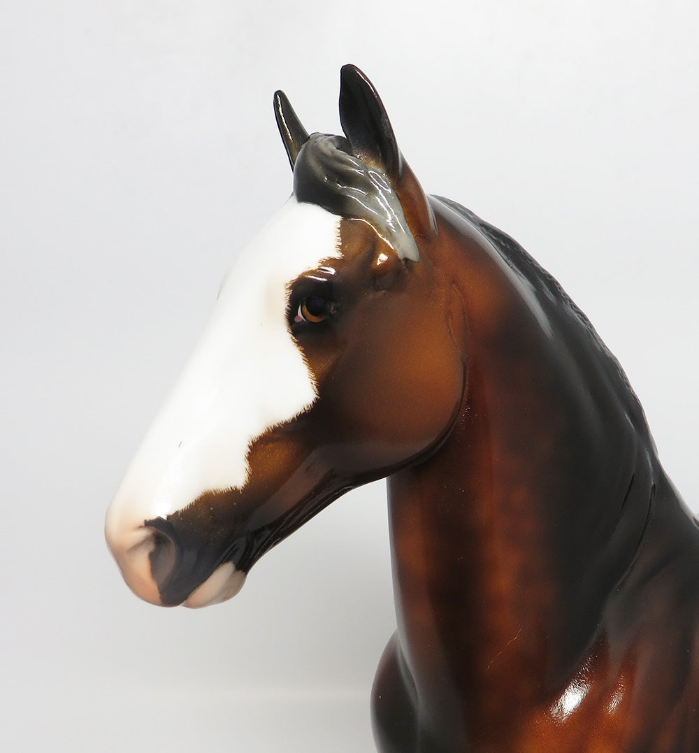 TOMAHAWK-OOAK CUSTOM DAPPLE BAY TROTTING DRAFTER WHS 2017