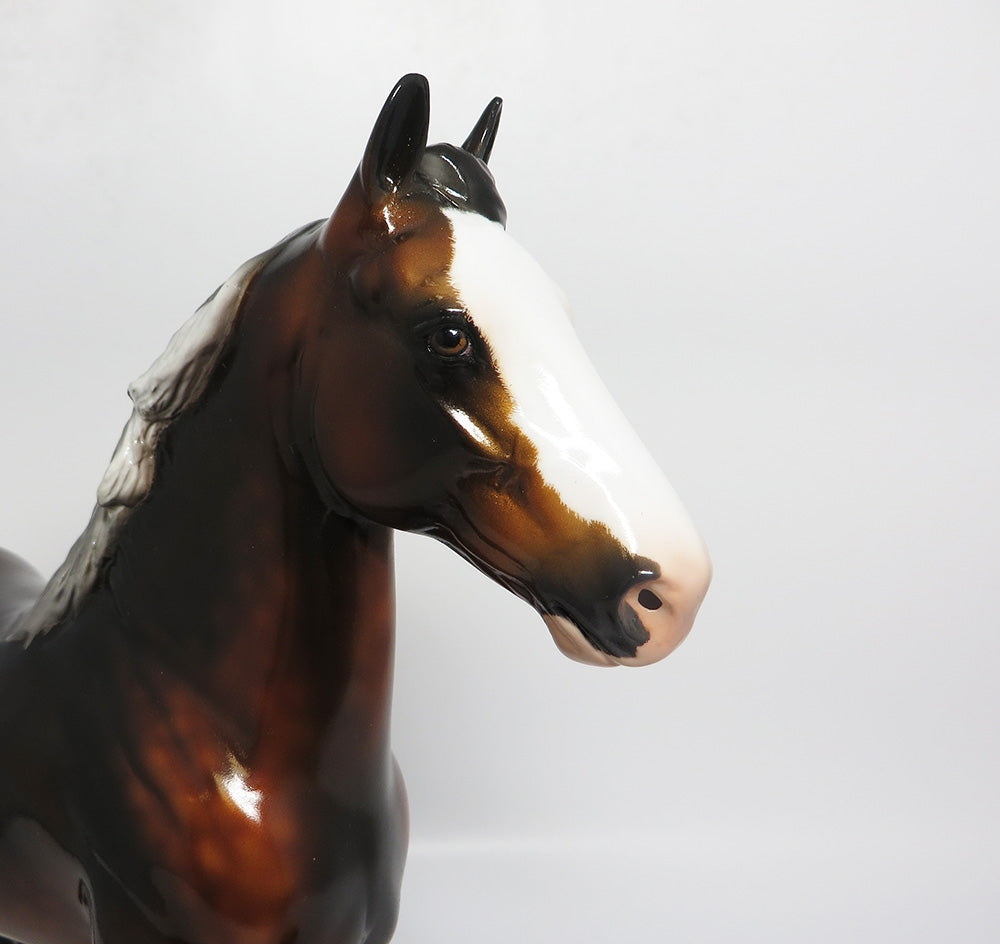 TOMAHAWK-OOAK CUSTOM DAPPLE BAY TROTTING DRAFTER WHS 2017