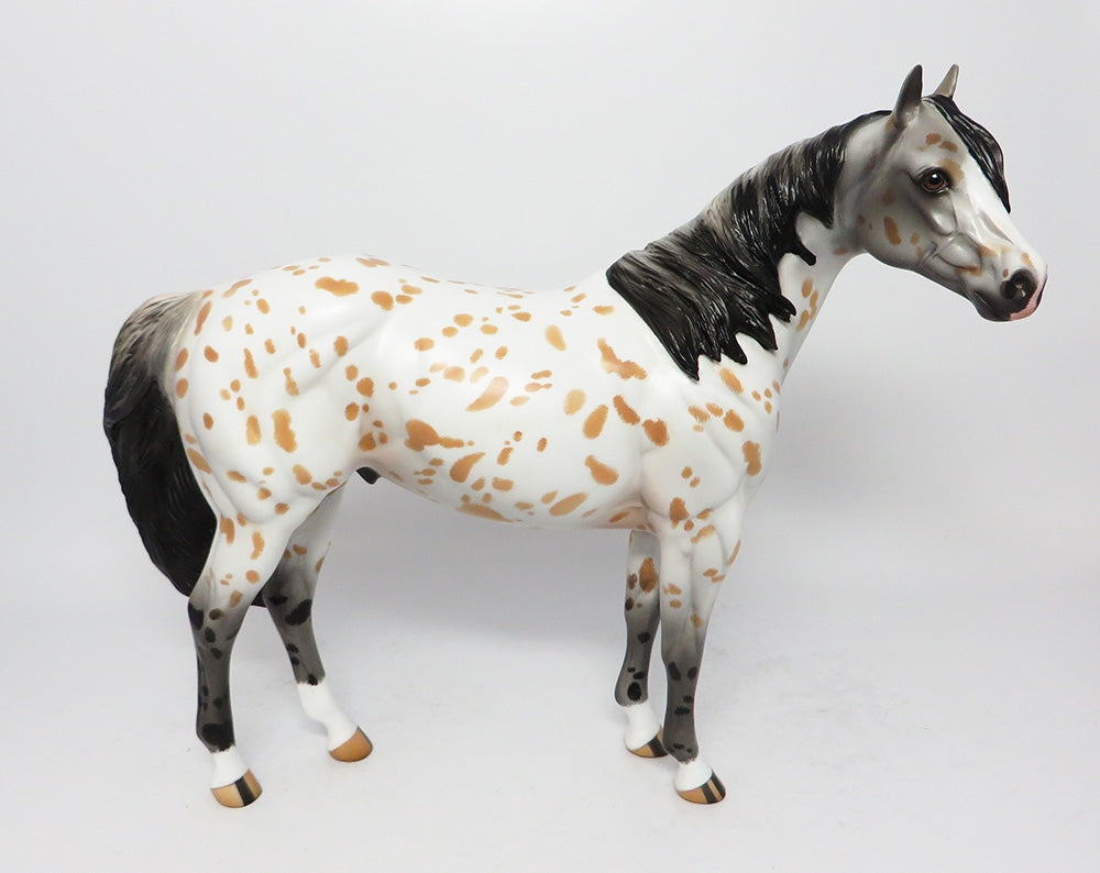 APPALOOSA