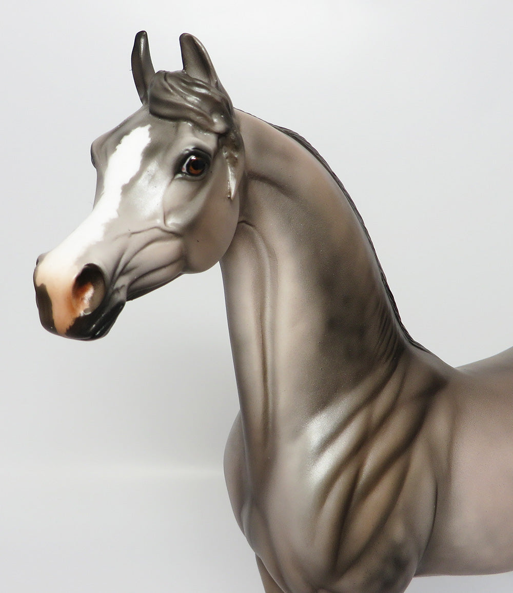 TORRIO-OOAK DAPPLE GREY ARABIAN MODEL HORSE  EQ 2017