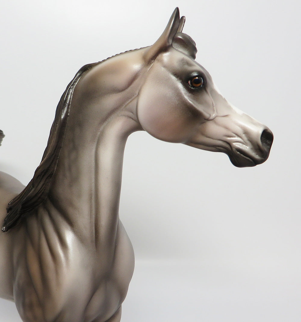 TORRIO-OOAK DAPPLE GREY ARABIAN MODEL HORSE  EQ 2017