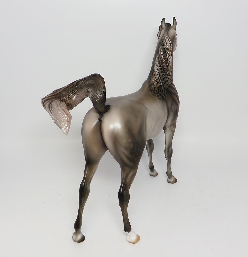 TORRIO-OOAK DAPPLE GREY ARABIAN MODEL HORSE  EQ 2017