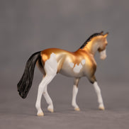Trophy Case OOAK Chip Warmblood by Dawn Quick EQ26