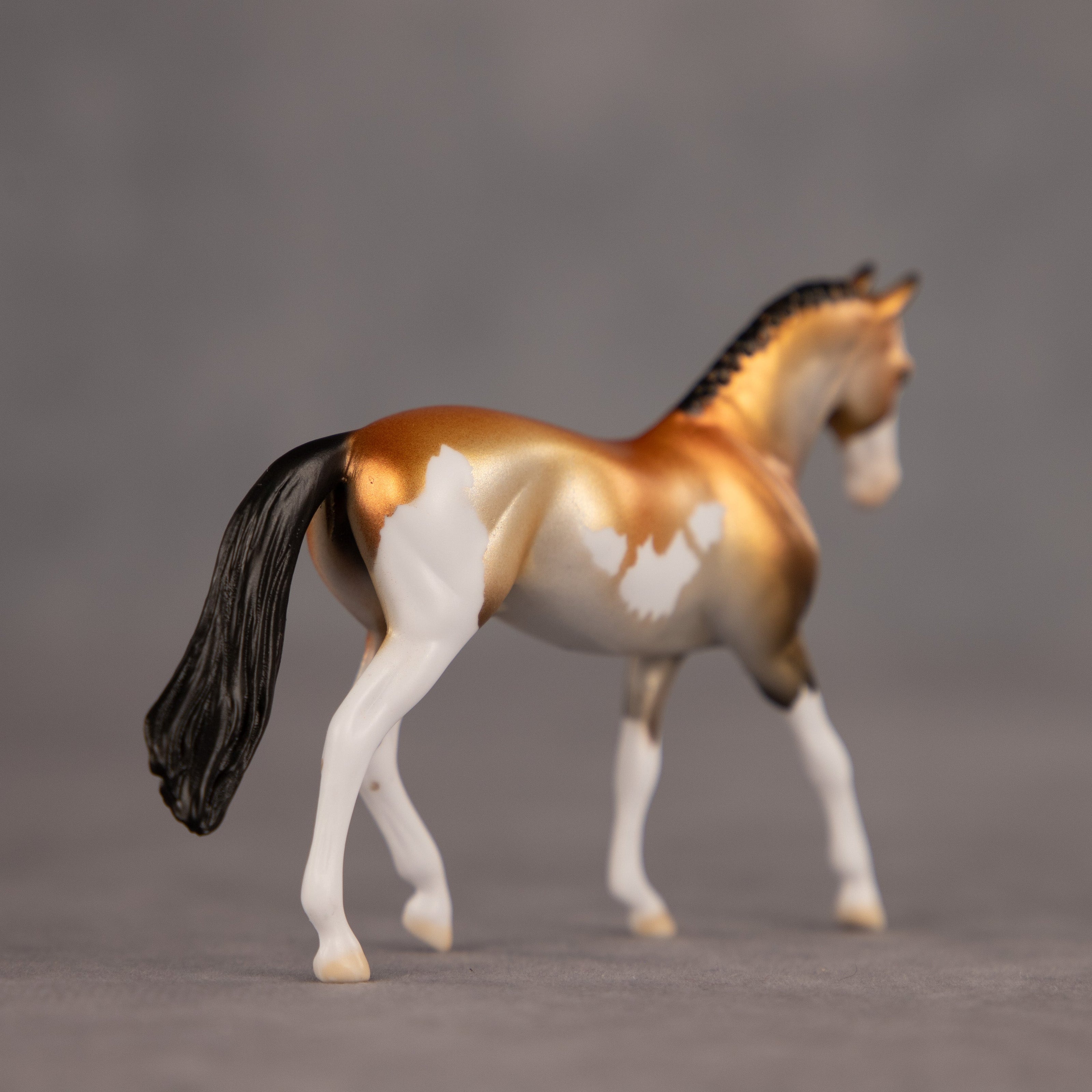 Trophy Case OOAK Chip Warmblood by Dawn Quick EQ26